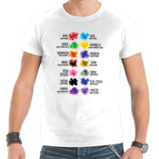 "COLORIAU" Chambreta SUPERIOR Ombre 